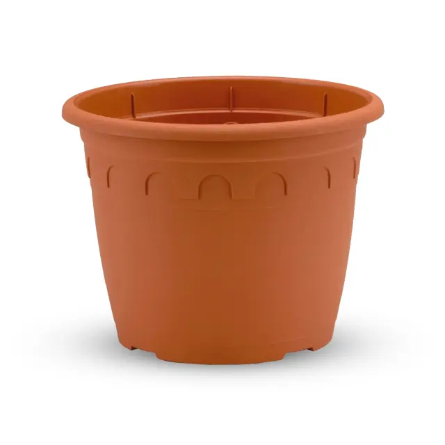 Ghivece Horticole & Propagare